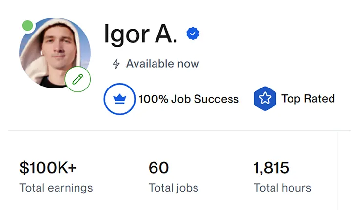 Professional experience